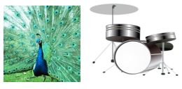 Trạng nguyên Tiếng Việt 1