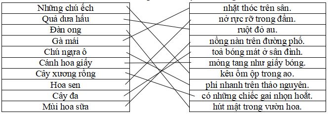 Trạng nguyên Tiếng Việt lớp 2