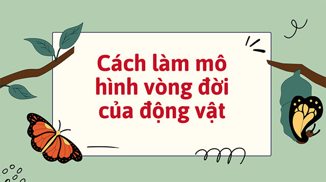 PowerPoint STEM Vòng đời của động vật