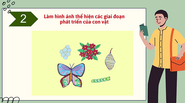 PowerPoint STEM Vòng đời của động vật