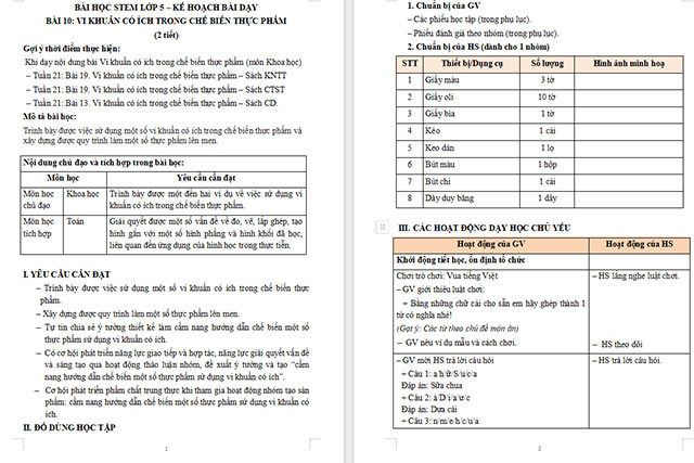 Giáo án STEM Vi khuẩn có ích trong chế biến thực phẩm