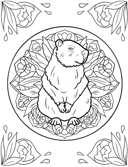 Bộ tranh tô màu capybara