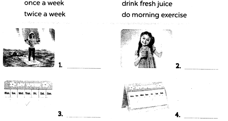 Sách bài tập tiếng Anh lớp 5 unit 14 Global success