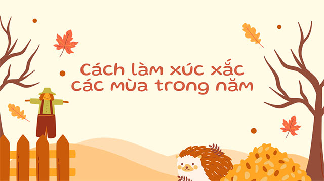 PowerPoint STEM Các mùa trong năm ở Việt Nam