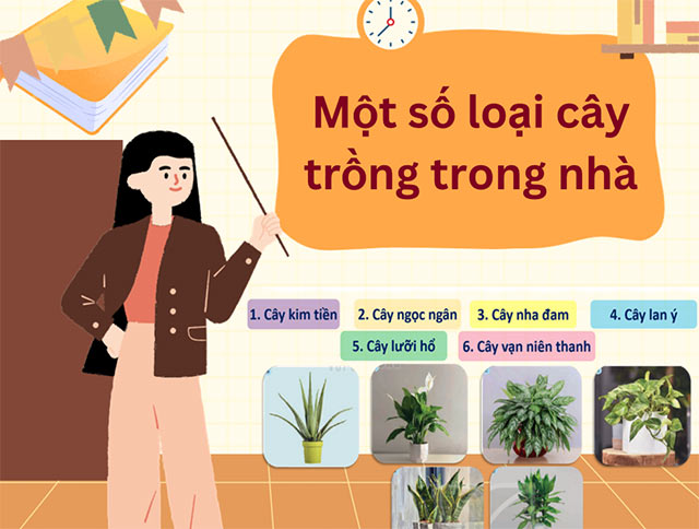 PowerPoint STEM Chậu cây thân thiện với môi trường