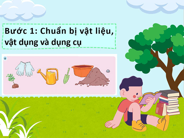 PowerPoint STEM Chậu cây thân thiện với môi trường