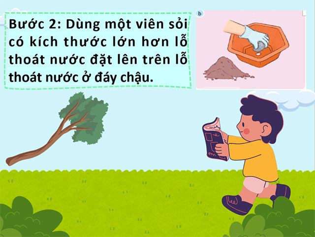 PowerPoint STEM Chậu cây thân thiện với môi trường