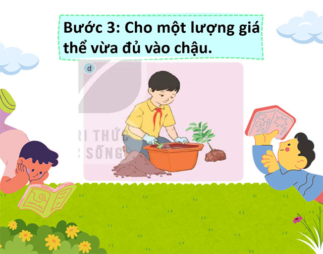 PowerPoint STEM Chậu cây thân thiện với môi trường