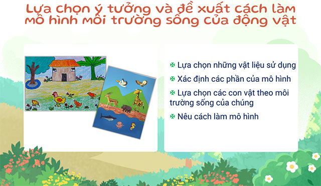 PowerPoint STEM Nơi sống của động vật