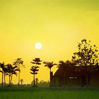 Giáo án Tiếng Việt 5 Bài 9: Chung tay vì cuộc sống yên bình