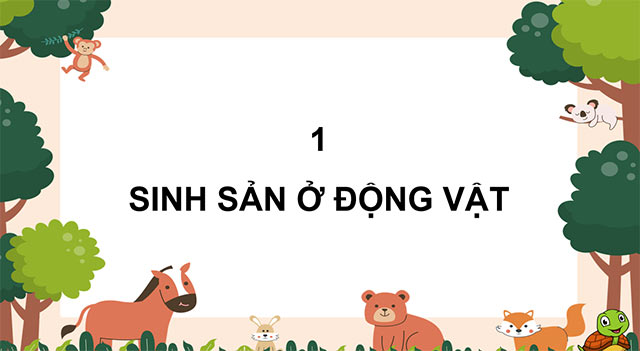PowerPoint Khoa học 5 Sự sinh sản ở động vật đẻ trứng và động vật đẻ con