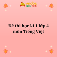 Đề thi học kì 1 môn Tiếng Việt 4 Kết nối tri thức - Đề số 5