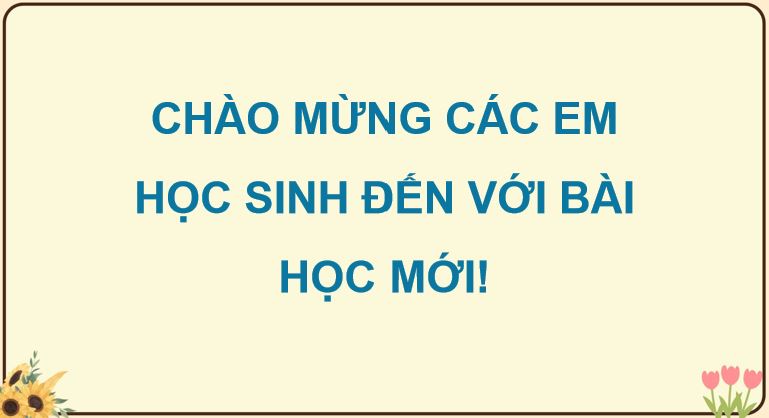 Đánh giá, chỉnh sửa đoạn văn