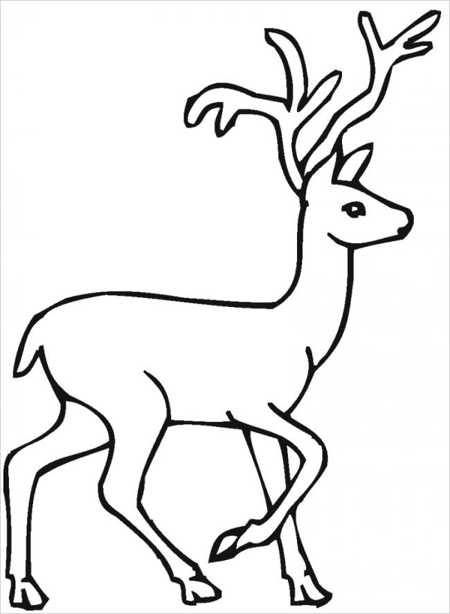 tranh to mau dong vat rung 18*658831