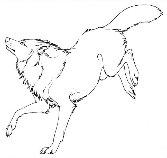 tranh to mau dong vat rung 19*658826