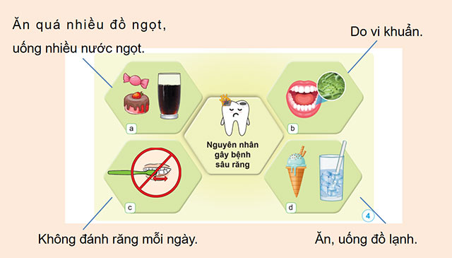 PowerPoint Khoa học 5 Vi khuẩn và vi khuẩn gây bệnh ở người
