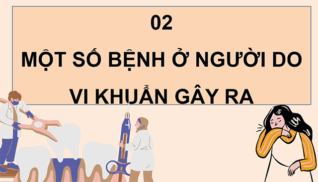 PowerPoint Khoa học 5 Vi khuẩn và vi khuẩn gây bệnh ở người