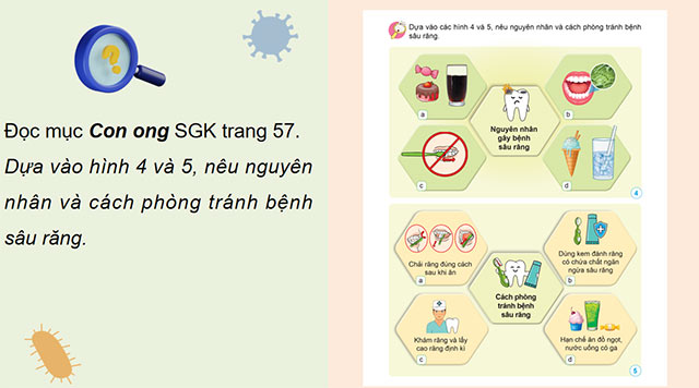 PowerPoint Khoa học 5 Vi khuẩn và vi khuẩn gây bệnh ở người