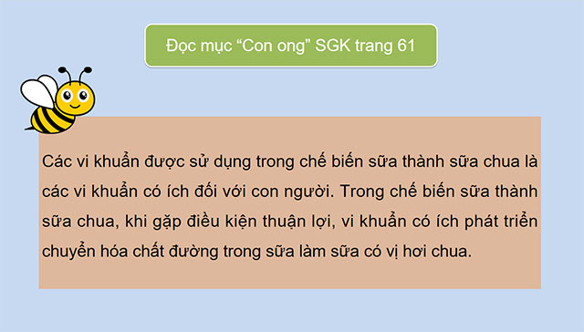 PowerPoint Khoa học 5 Vi khuẩn có ích trong chế biến thực phẩm