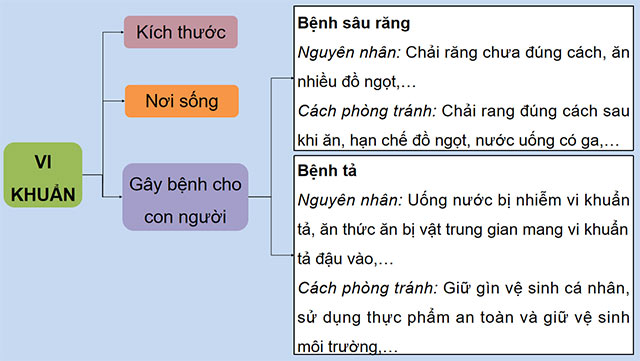 PowerPoint Khoa học 5 Ôn tập chủ đề Vi khuẩn
