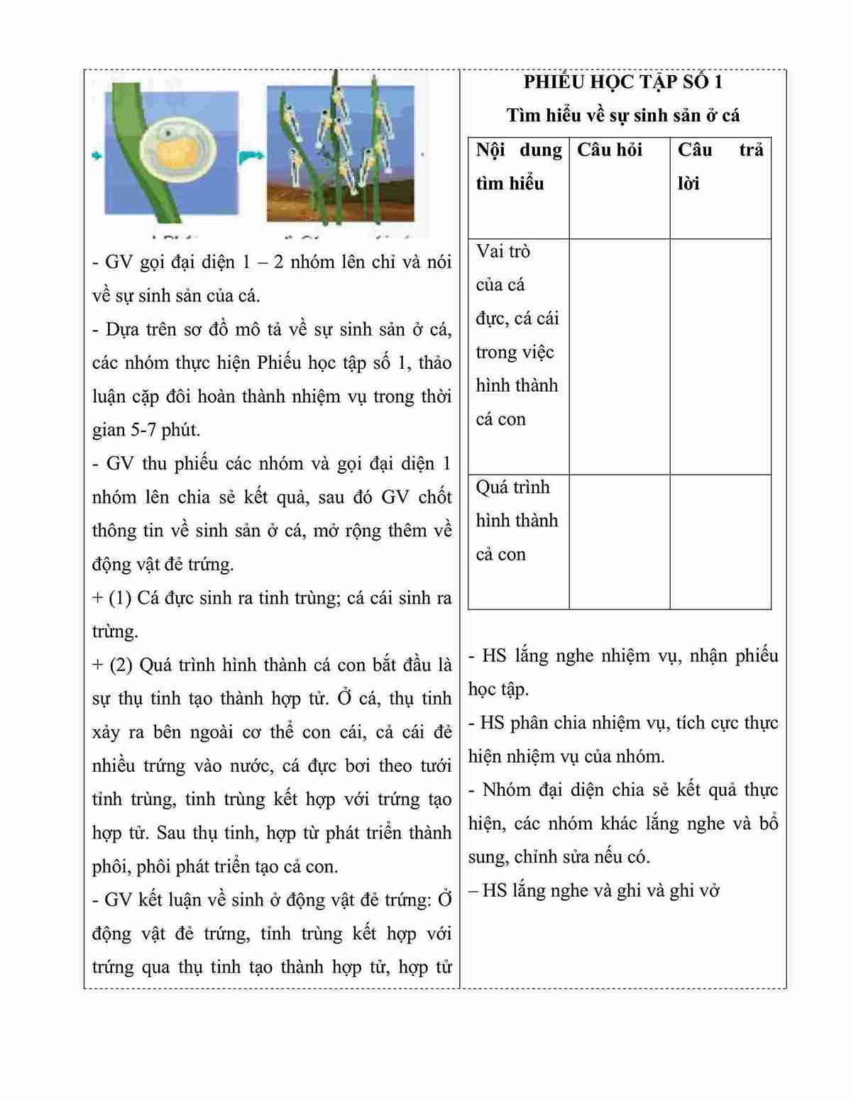 giao an khoa hoc 5 bai 15 kntt sinh san cua dong vat hinh anh 3 1*660143