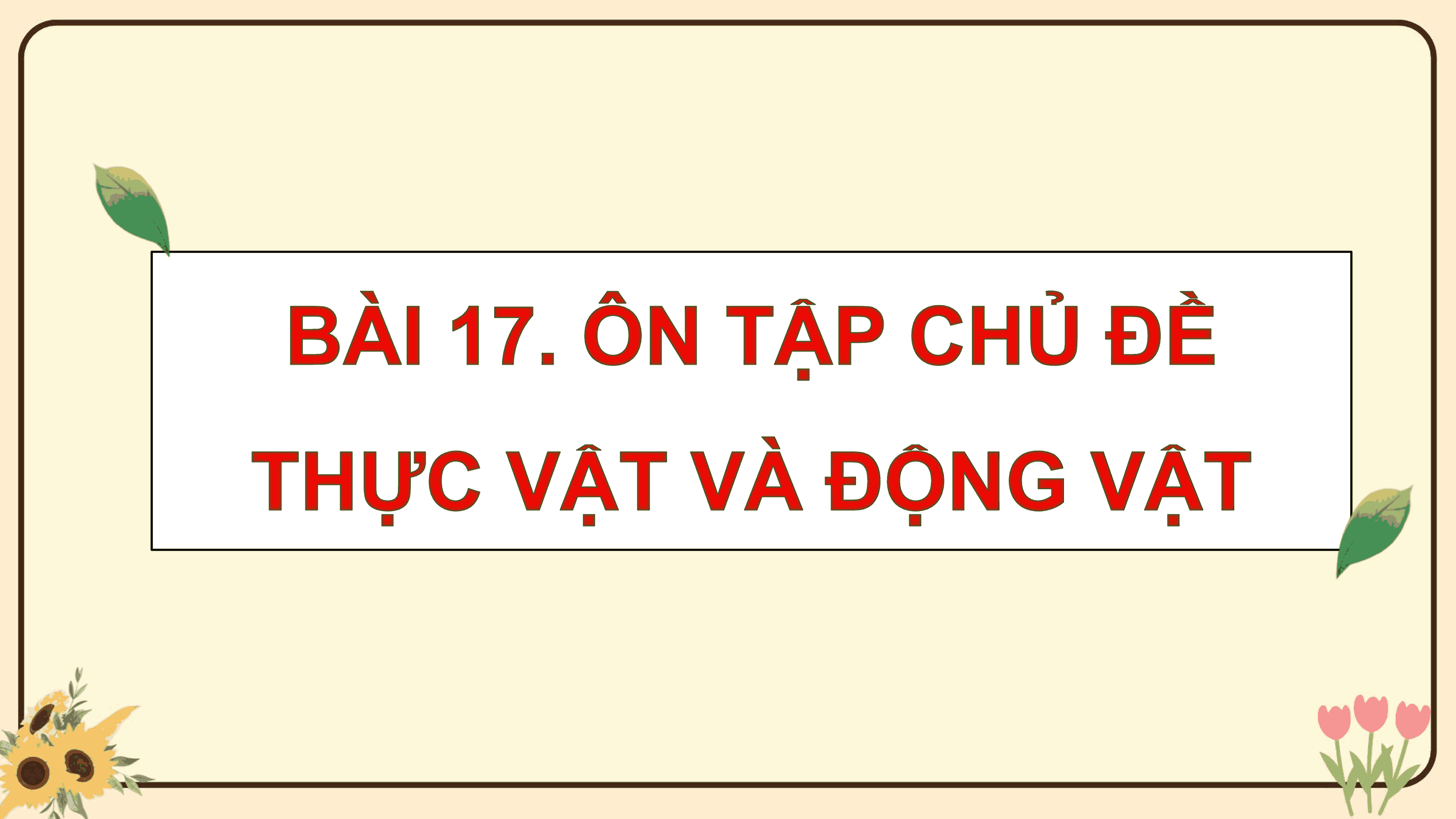Ôn tập chủ đề Thực vật và động vật
