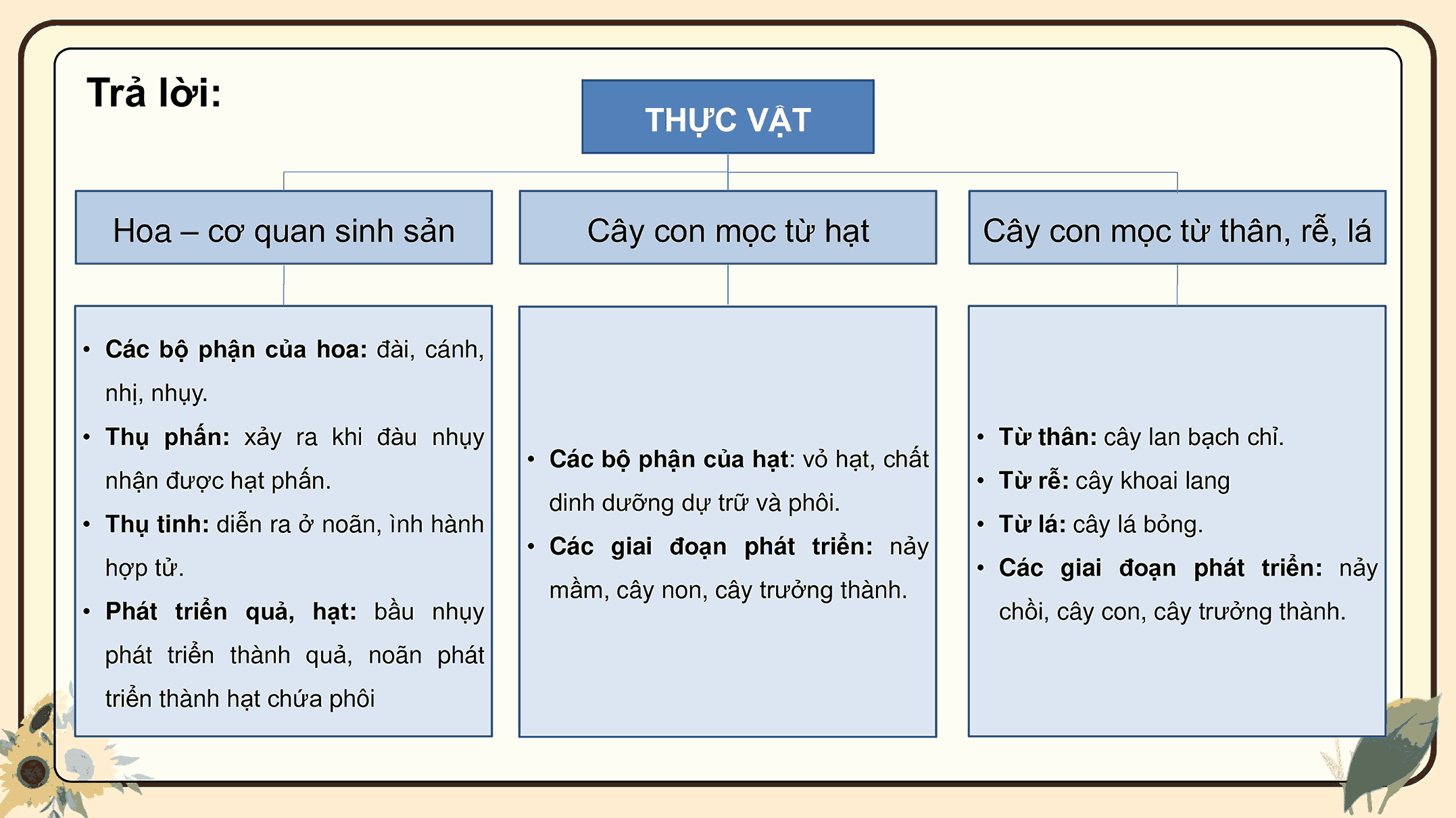 Ôn tập chủ đề Thực vật và động vật
