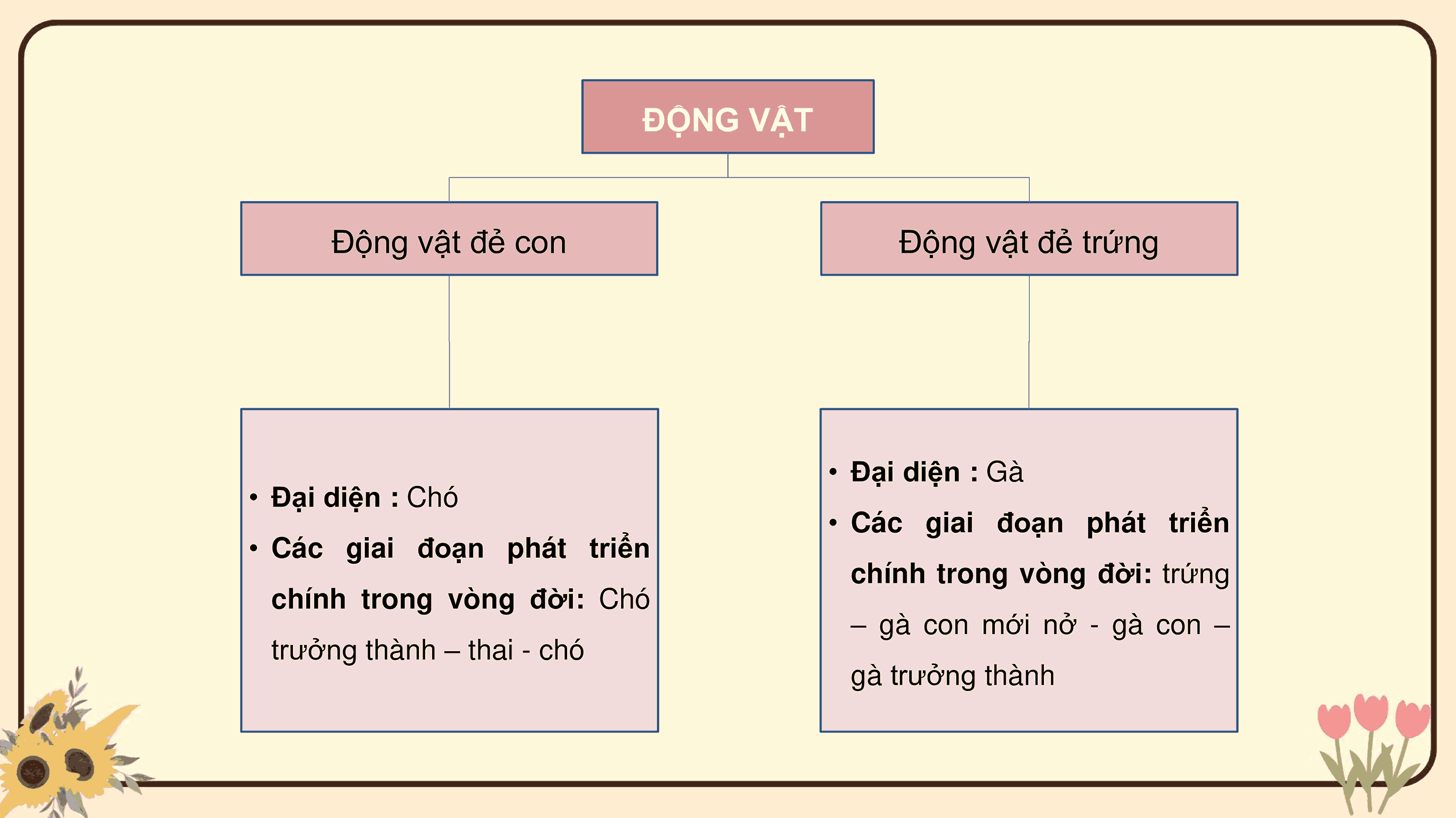 Ôn tập chủ đề Thực vật và động vật