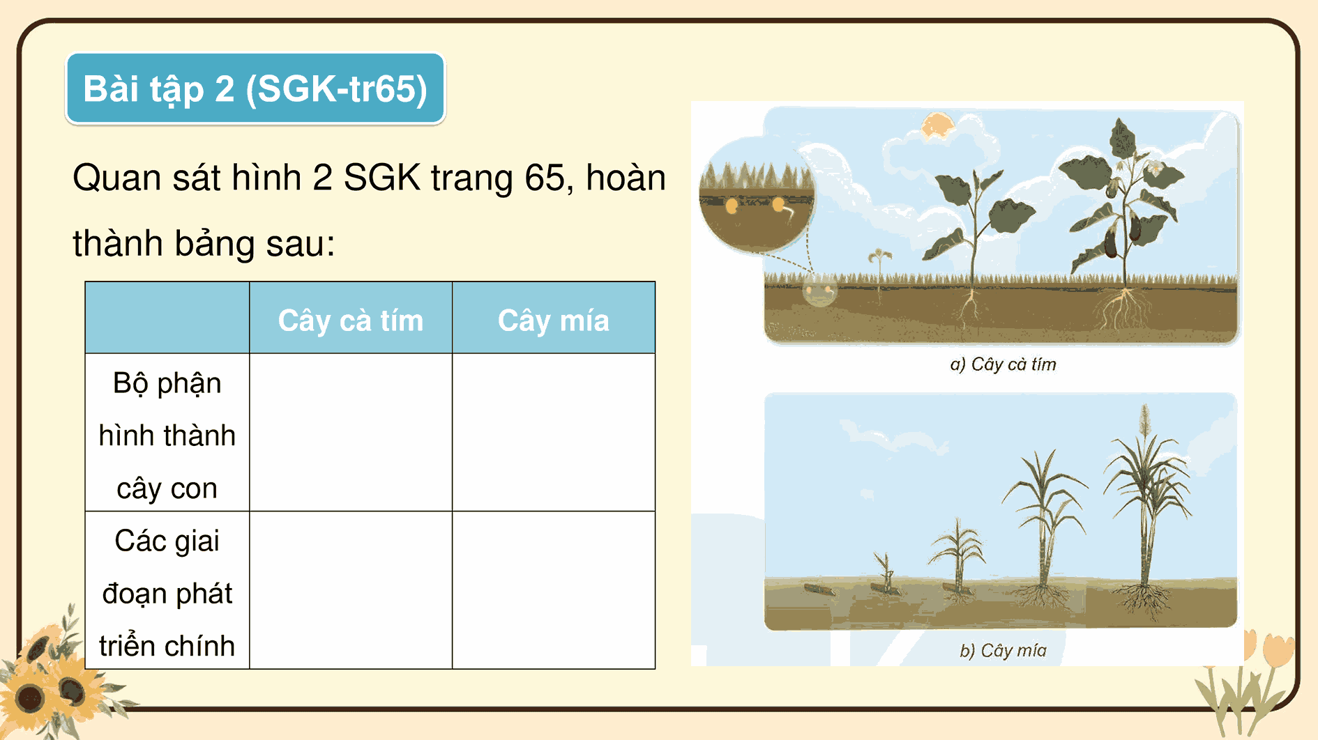 Ôn tập chủ đề Thực vật và động vật
