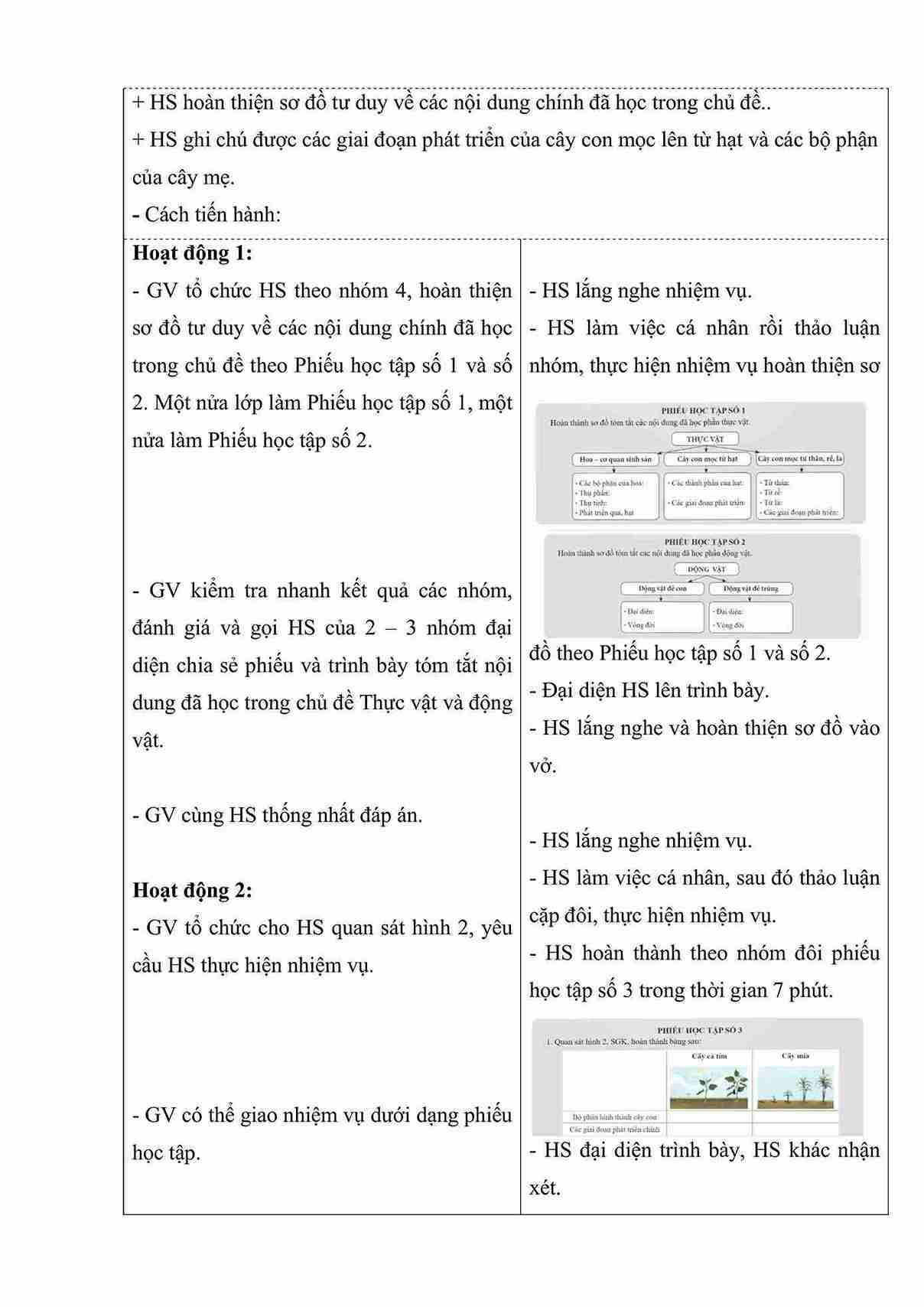 giao an khoa hoc 5 bai 17 on tap chu de thuc vat va dong vat hinh anh 2 1*660092