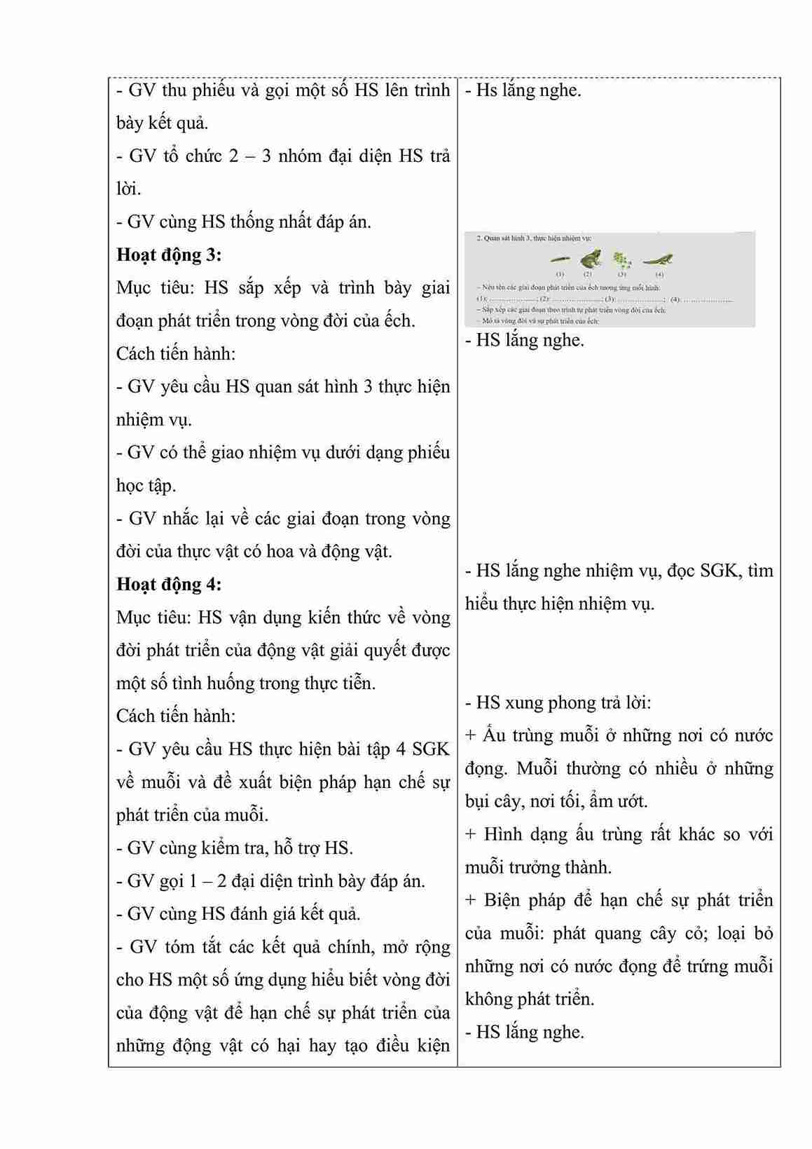 giao an khoa hoc 5 bai 17 on tap chu de thuc vat va dong vat hinh anh 3 1*660090