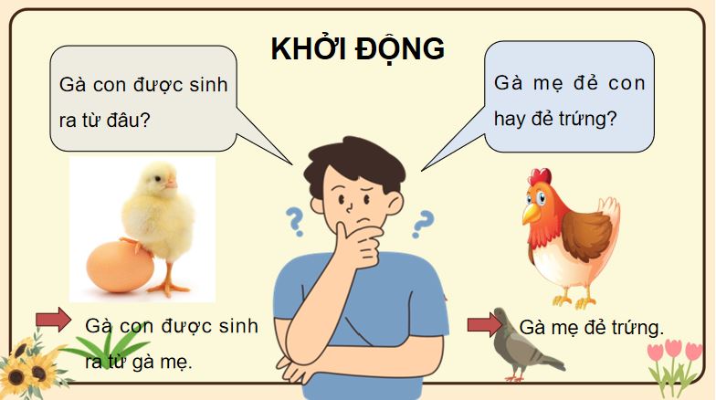 PowerPoint Khoa học 5 Sinh sản của động vật