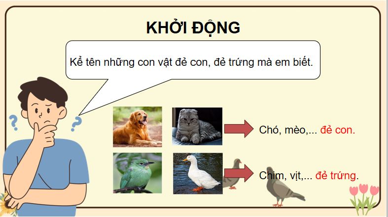 PowerPoint Khoa học 5 Sinh sản của động vật