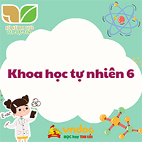 Bài tập ôn hè Khoa học tự nhiên 6 Chương 8 Đa dạng thế giới sống