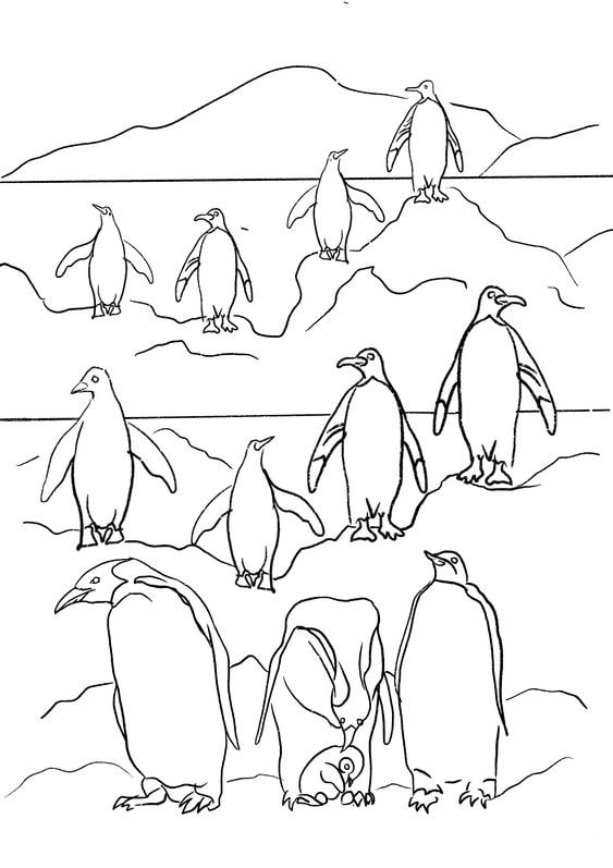 tranh to mau con chim 30*661095