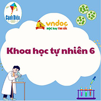 Khoa học tự nhiên lớp 6 Bài 19: Đa dạng thực vật Cánh diều