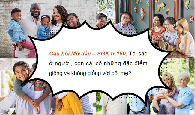 PowerPoint KHTN 9 Bài 35: Khái quát về di truyền học