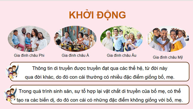 PowerPoint KHTN 9 Bài 35: Khái quát về di truyền học