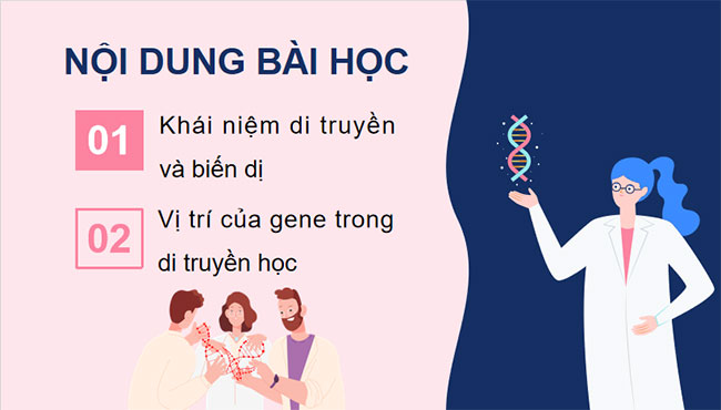 PowerPoint KHTN 9 Bài 35: Khái quát về di truyền học