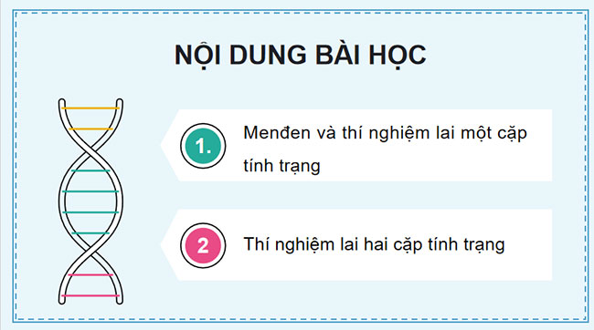 PowerPoint Khoa học tự nhiên 9 Bài 36