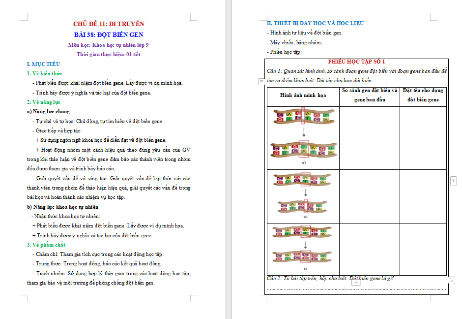 PowerPoint KHTN 9 Bài 38: Đột biến gene