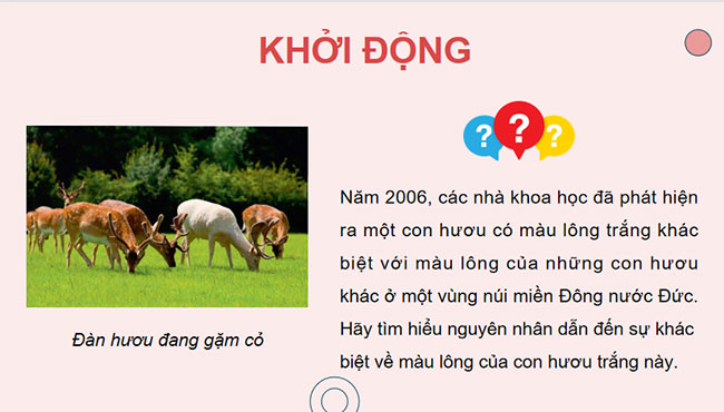 PowerPoint KHTN 9 Bài 38: Đột biến gene