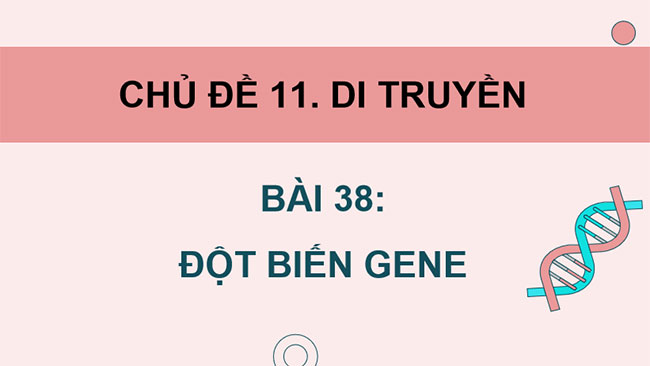 PowerPoint KHTN 9 Bài 38: Đột biến gene
