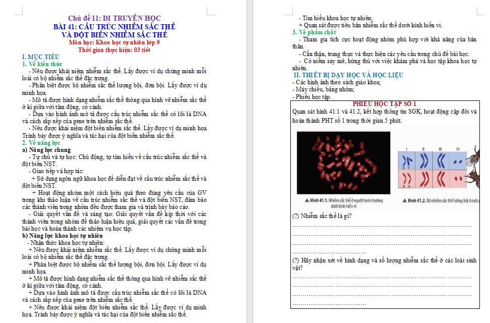 PowerPoint KHTN 9 Bài 41 CTST