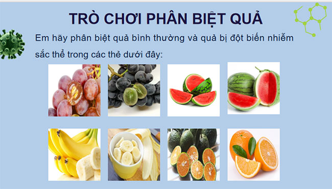 PowerPoint KHTN 9 Bài 41 CTST