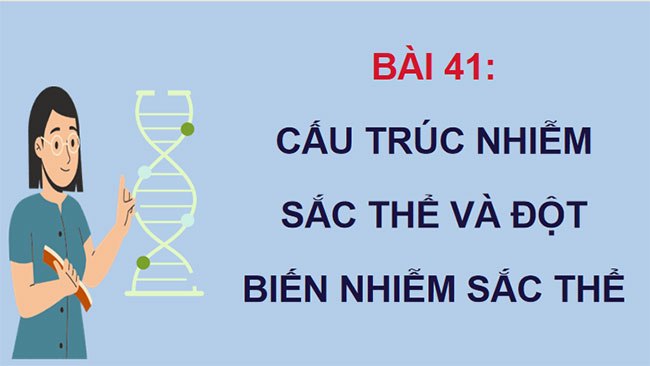 PowerPoint KHTN 9 Bài 41 CTST