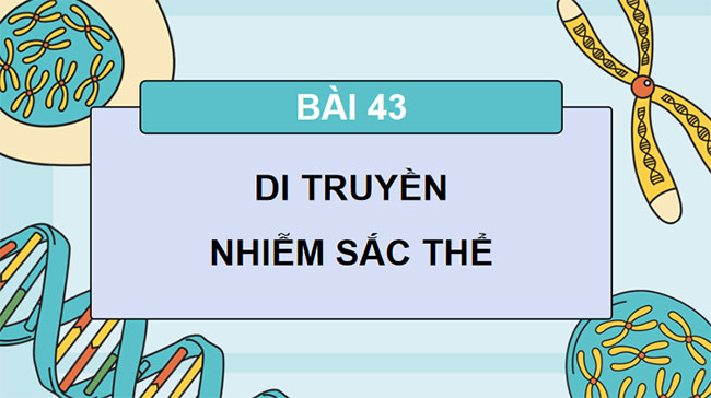 PowerPoint KHTN 9 Bài 43: Di truyền nhiễm sắc thể