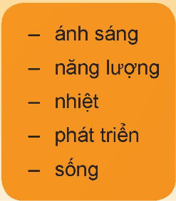 Giải KHTN lớp 6 bài 46