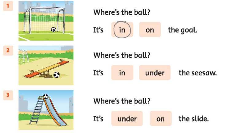 SBT tiếng Anh 2 unit 5 Where's the ball? lesson 6