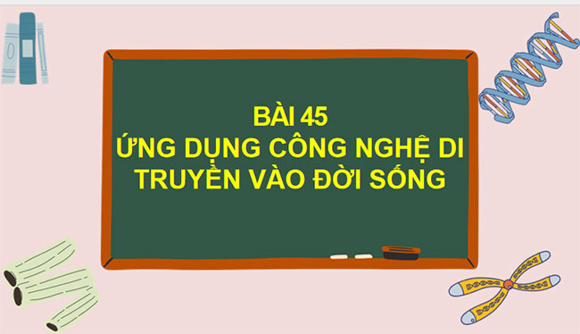 PowerPoint Sinh học 9 Bài 45